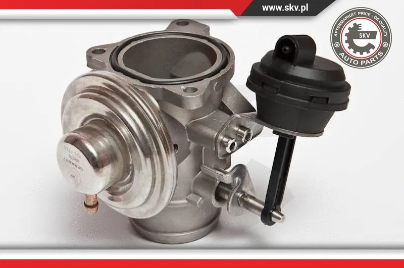 EGR Valve