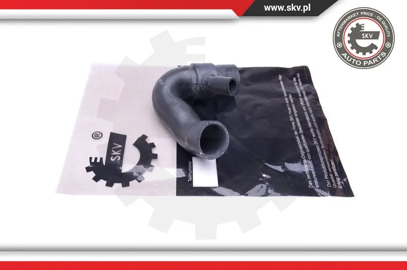 Charge Air Hose (43SKV418)