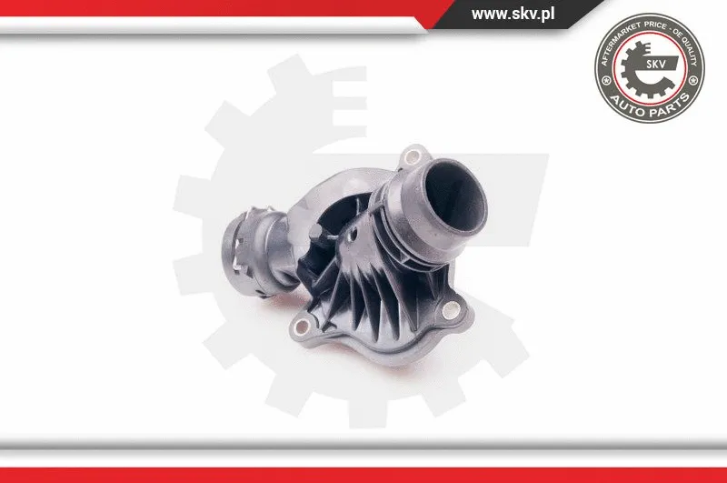 Thermostat, coolant