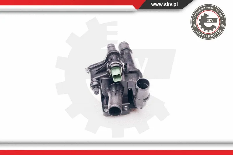 Thermostat, coolant