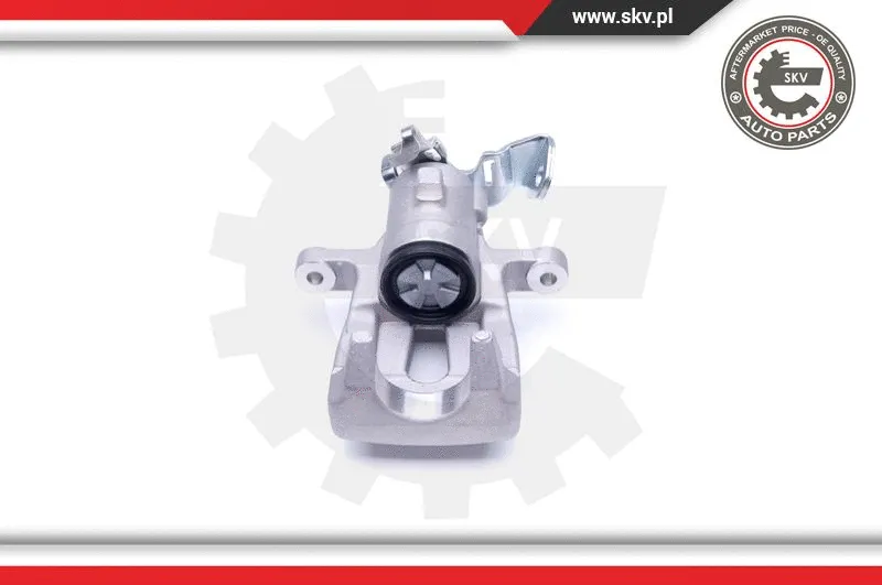 Brake Caliper (34SKV143)