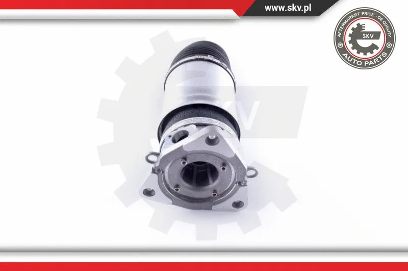 Air Spring, suspension