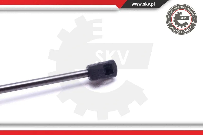 Gas Spring, boot/cargo area