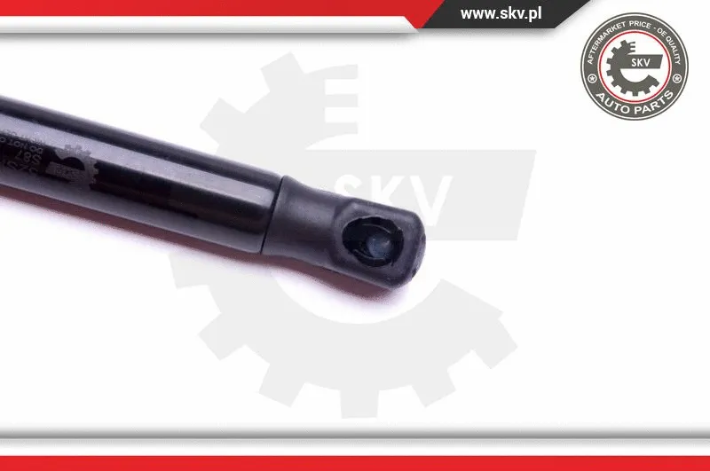 Gas Spring, boot/cargo area