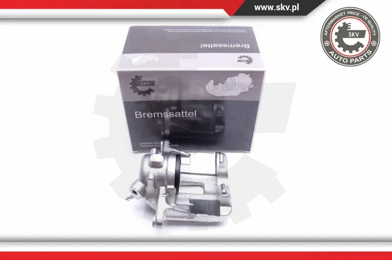 Brake Caliper (42SKV642)