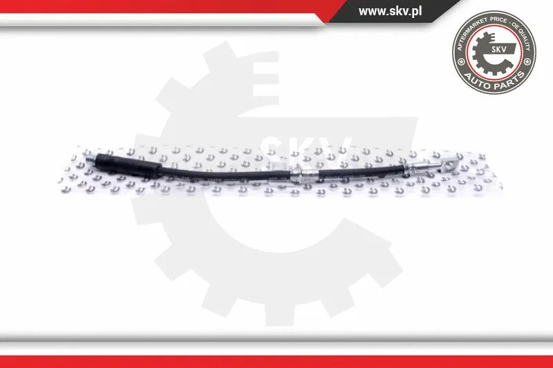 Brake Hose (35SKV202)