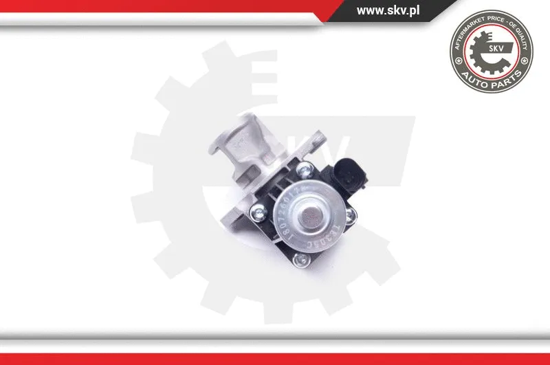 EGR Valve