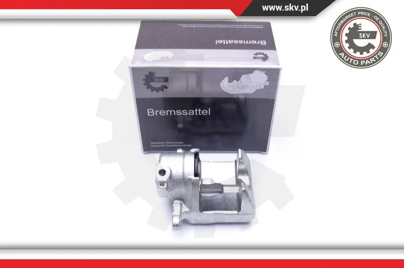 Brake Caliper (44SKV811)