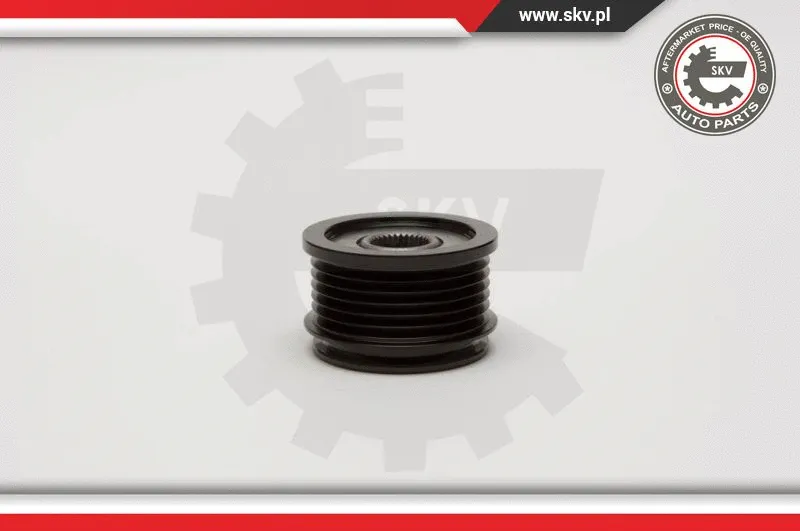Alternator Freewheel Clutch (11SKV021)