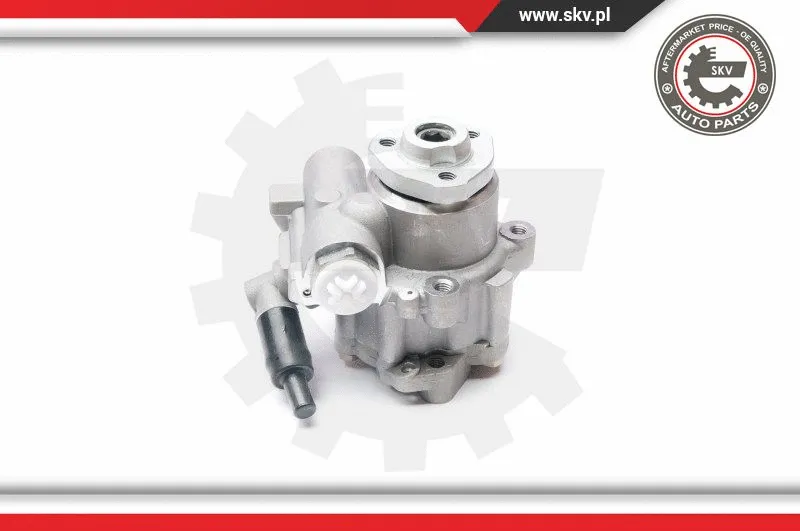 Hydraulic Pump, steering (10SKV223)