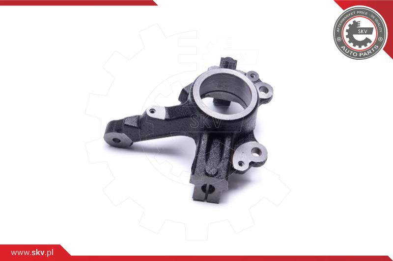 Steering Knuckle, wheel suspension