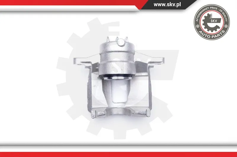 Brake Caliper (23SKV312)