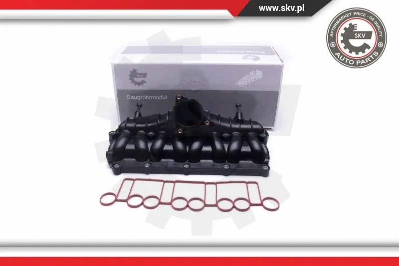 Intake Manifold Module (49SKV066)