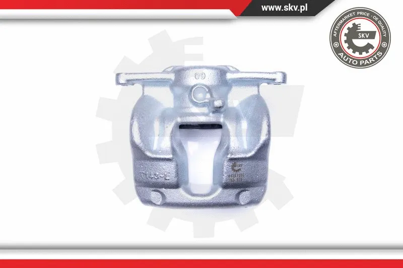 Brake Caliper (44SKV291)