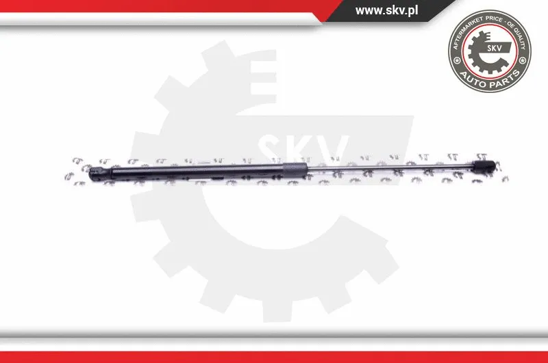 Gas Spring, boot/cargo area