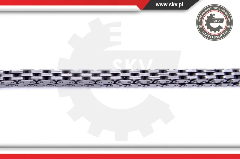Timing Chain Kit