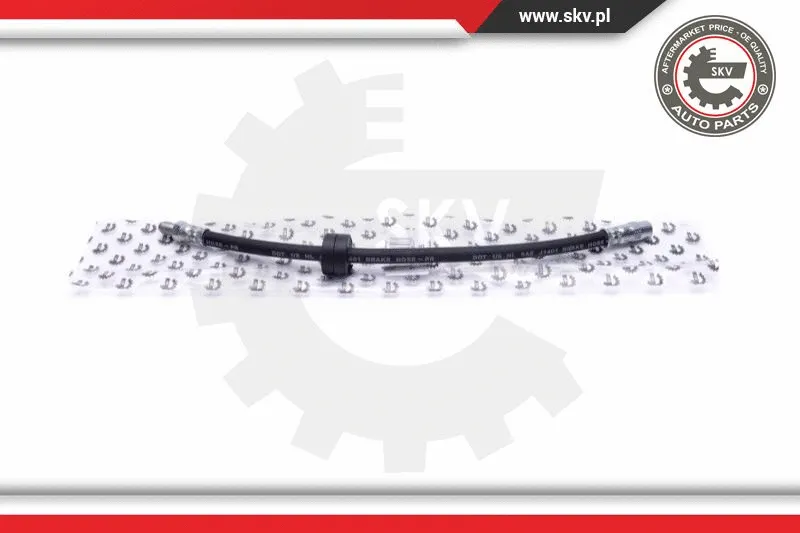 Brake Hose (35SKV125)