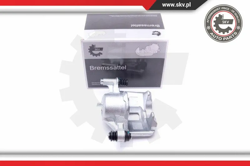 Brake Caliper (42SKV754)