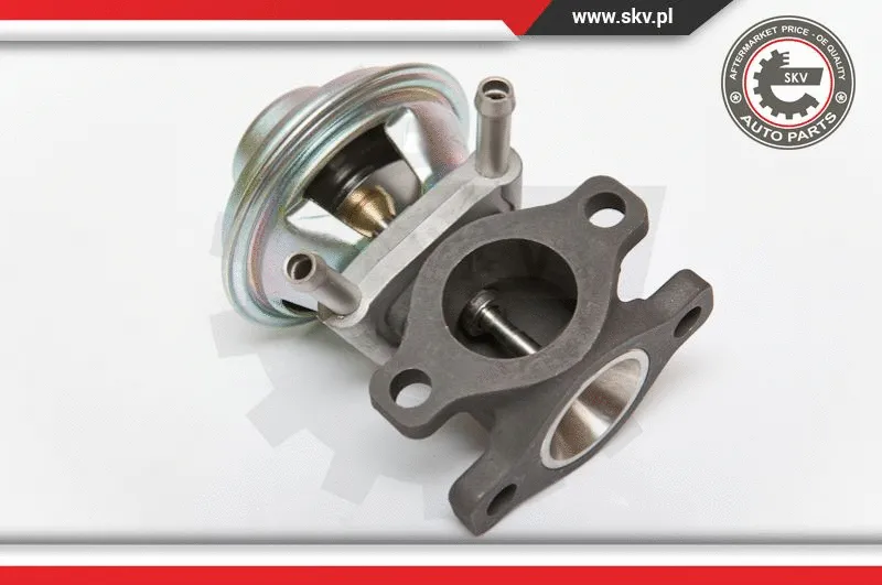 EGR Valve