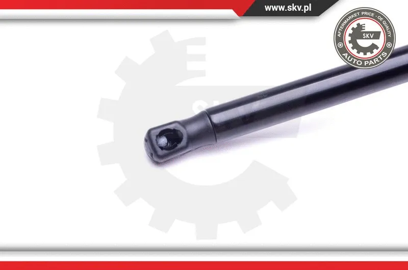 Gas Spring, boot/cargo area