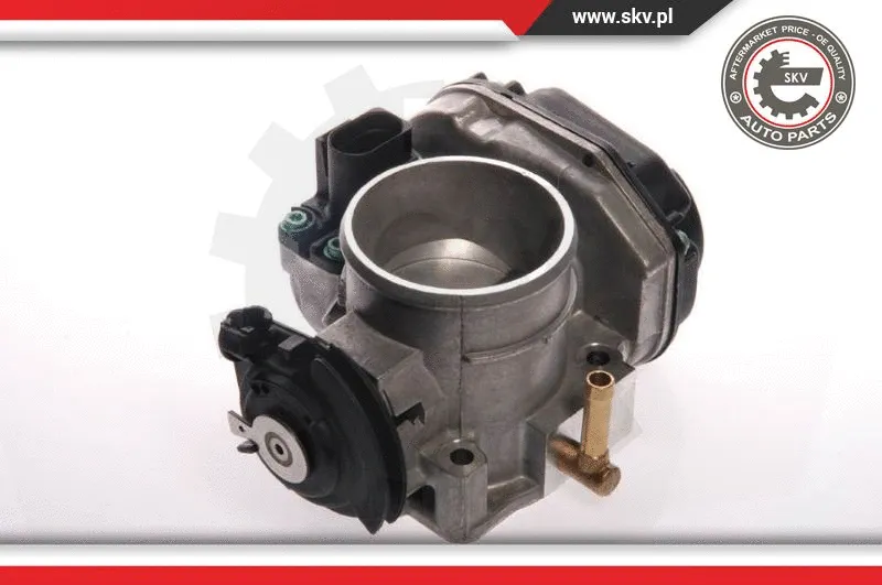 Throttle Body (12SKV022)