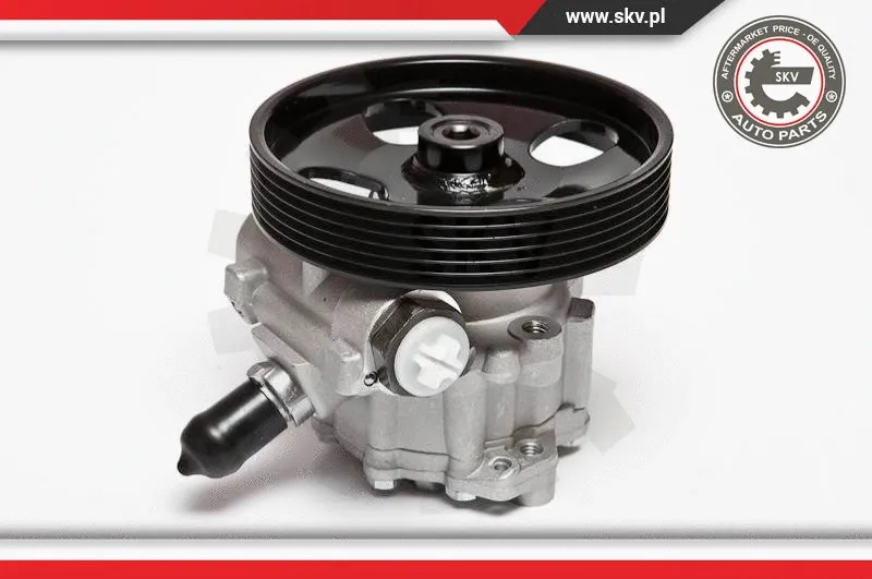 Hydraulic Pump, steering (10SKV023)