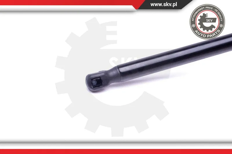 Gas Spring, boot/cargo area