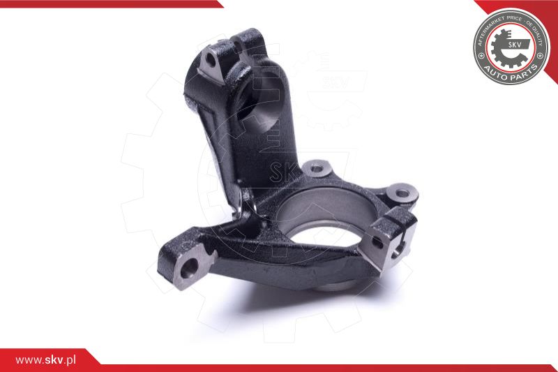 Steering Knuckle, wheel suspension