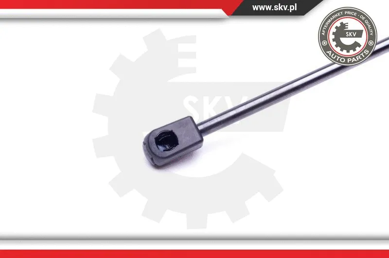Gas Spring, boot/cargo area