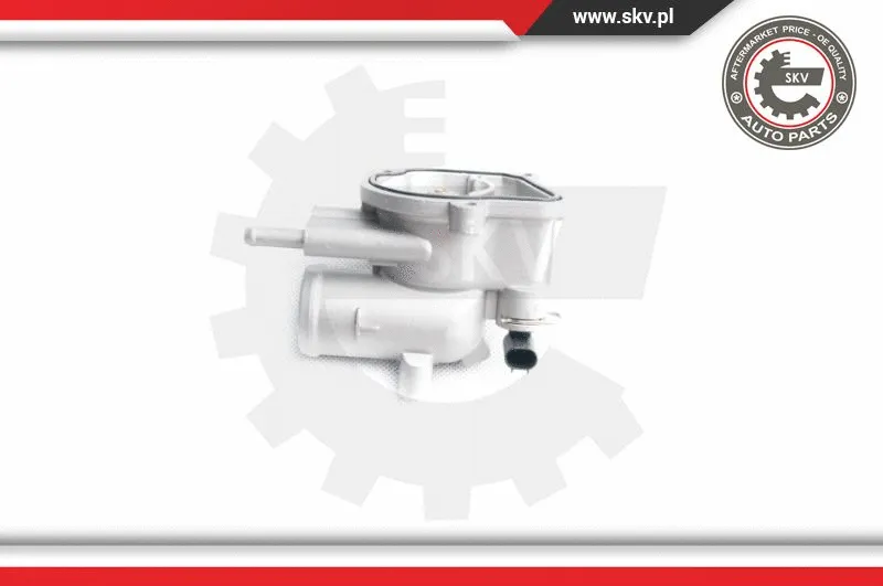 Thermostat, coolant