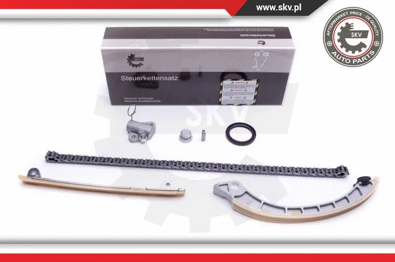 Timing Chain Kit (21SKV222)