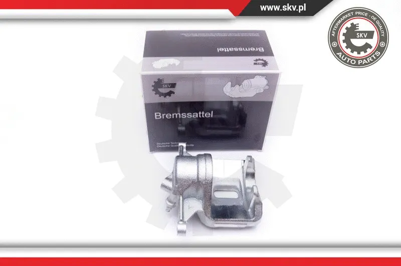 Brake Caliper (42SKV701)