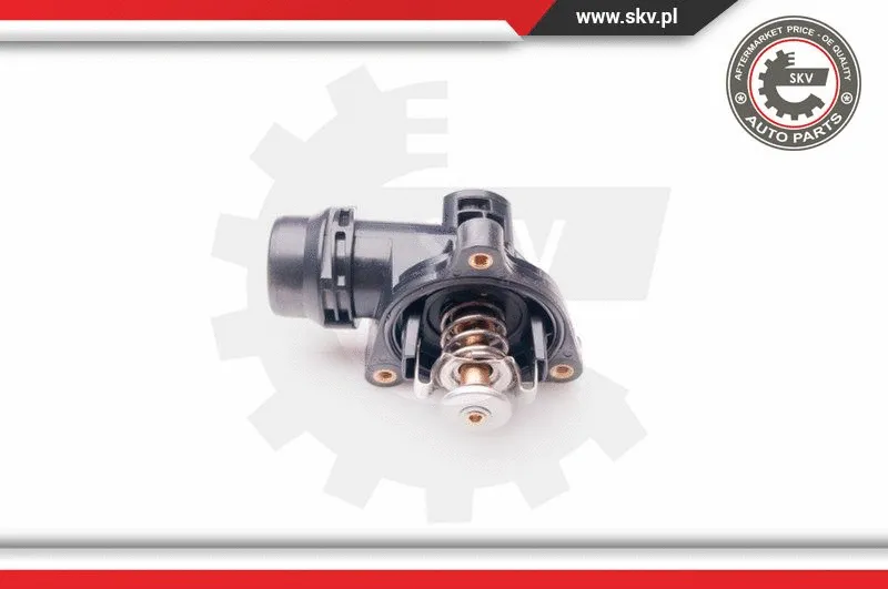 Thermostat, coolant