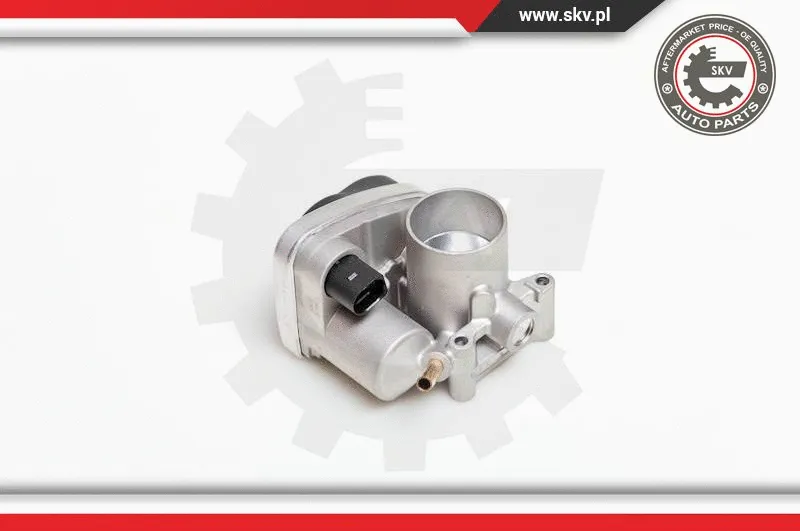 Throttle Body (12SKV029)