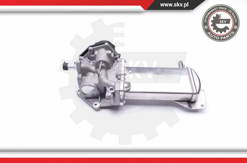 EGR Valve (14SKV151)