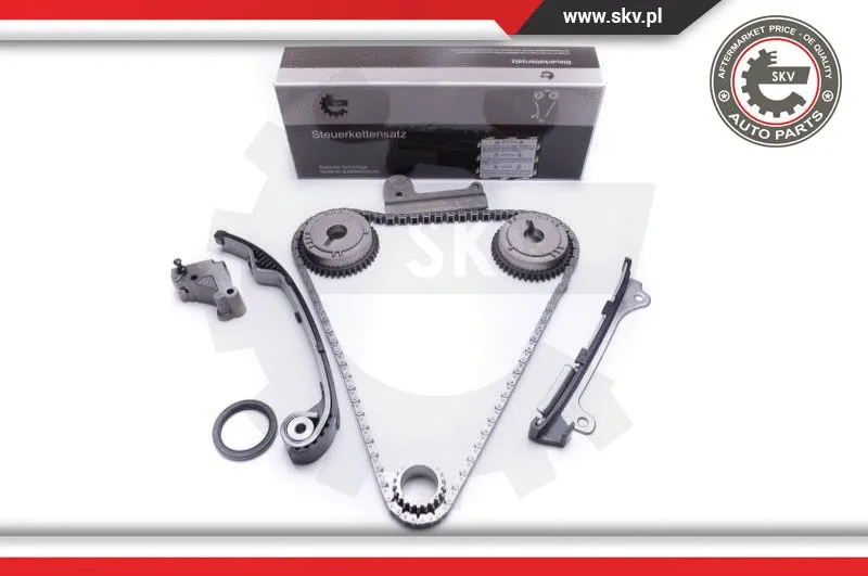 Timing Chain Kit (21SKV191)