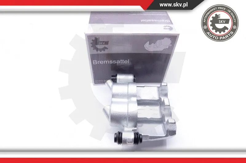 Brake Caliper (42SKV072)