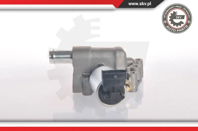 EGR Valve (14SKV015)