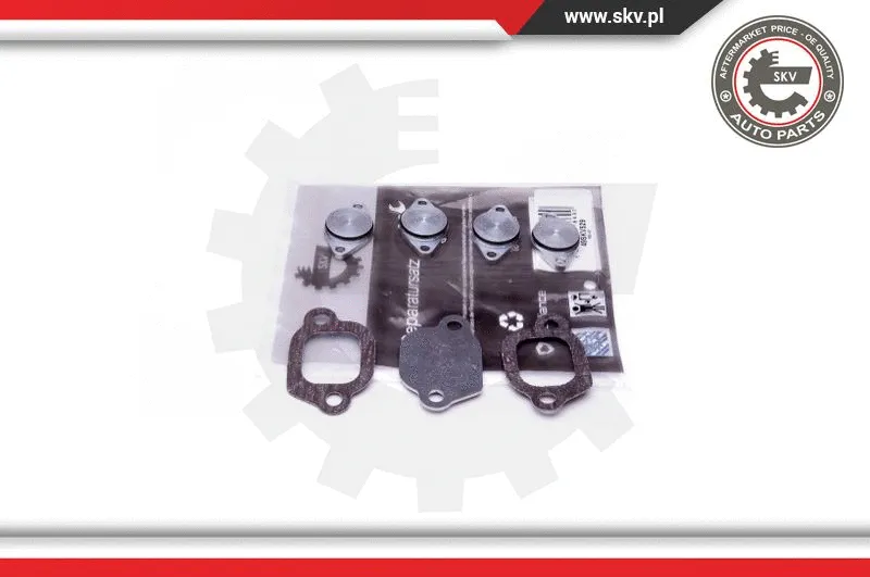 Repair Kit, intake manifold module (49SKV529)