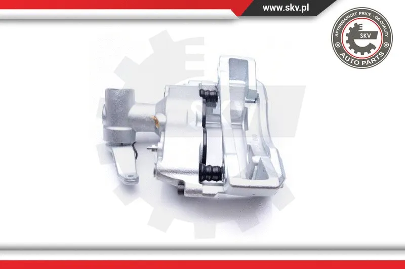 Brake Caliper (42SKV093)