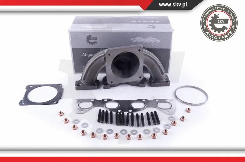 Manifold, exhaust system (49SKV051)