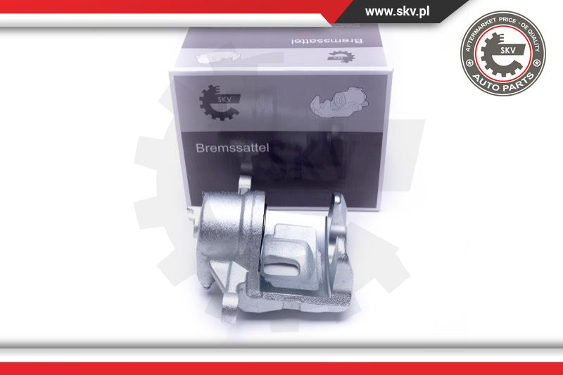 Brake Caliper (46SKV841)
