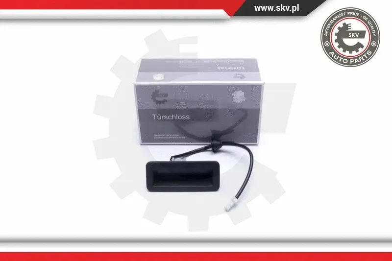 Exterior Door Handle (16SKV273)