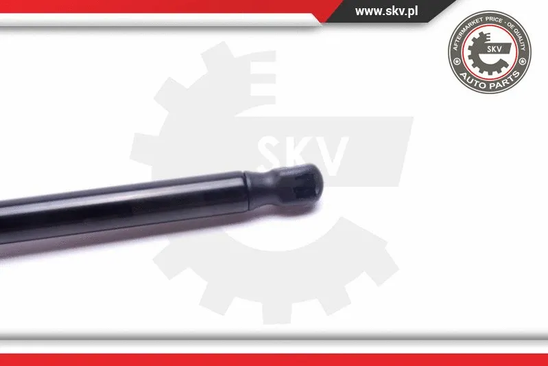 Gas Spring, boot/cargo area