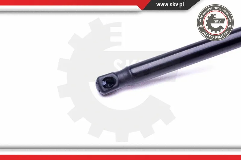 Gas Spring, boot/cargo area