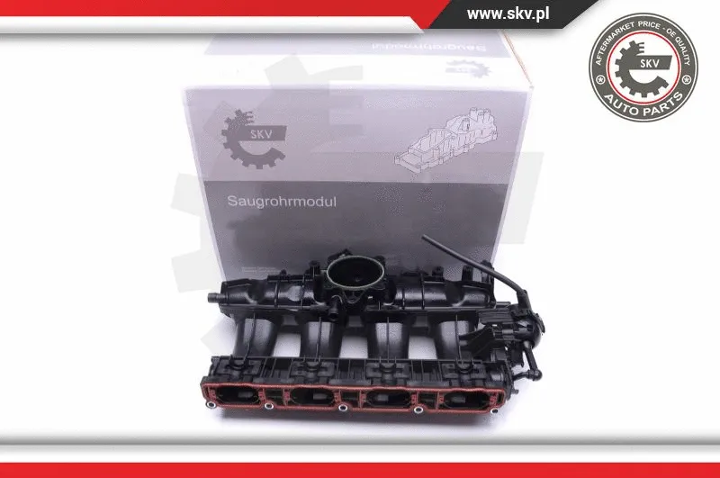 Intake Manifold Module (49SKV010)
