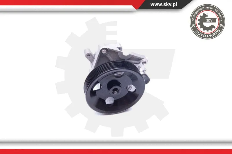 Hydraulic Pump, steering (10SKV192)