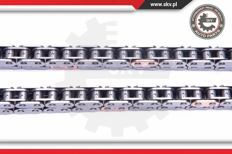 Timing Chain Kit