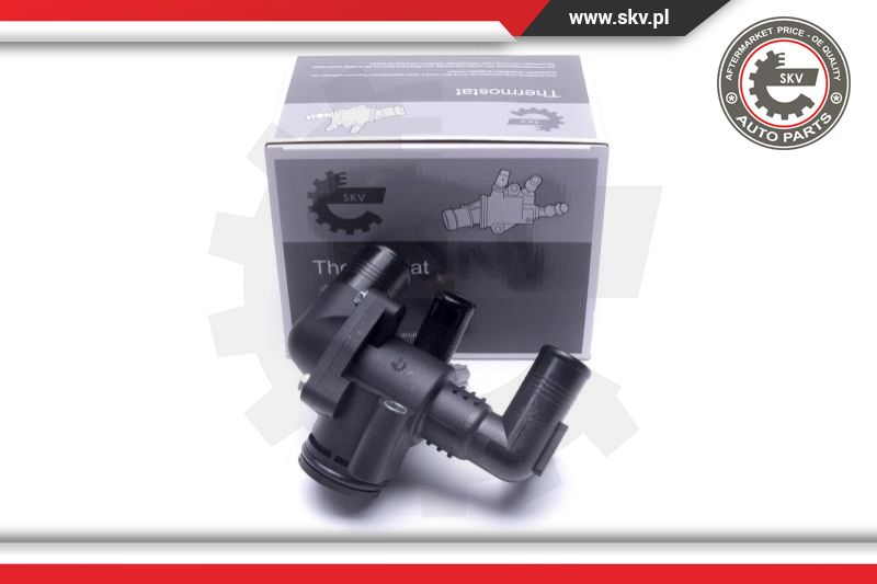 Thermostat, coolant (20SKV187)