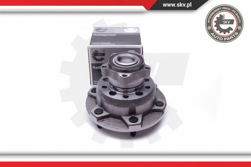 Wheel Bearing Kit (29SKV298)